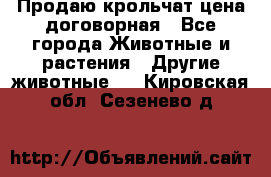 Продаю крольчат цена договорная - Все города Животные и растения » Другие животные   . Кировская обл.,Сезенево д.